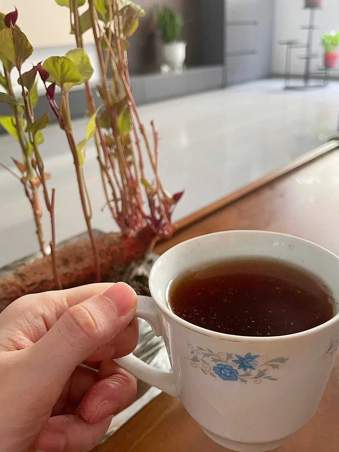 我在小红书学养育|生化妊娠的症状和原因