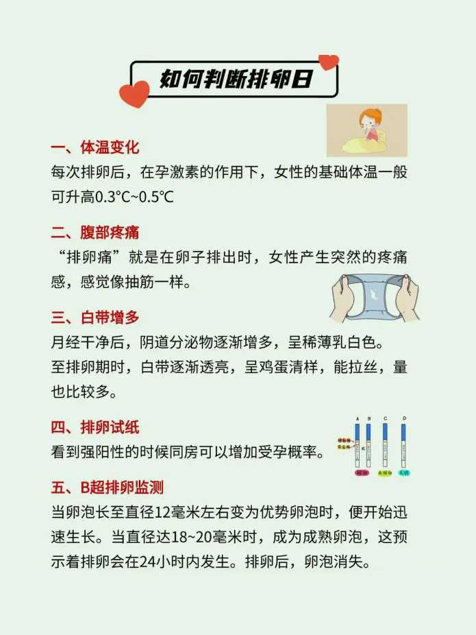 厦门地下供卵费用多少钱一次？2026厦门地下供卵中心防骗指南